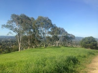 땅의 제비 3264x2448 - - 153319 - 무료 이미지 - PxHere 무료 이미지 : 경치, 나무, 잔디, 들, 농장, 목초지, 언덕, 목장, 평원, 농원, 고원, 재산... 