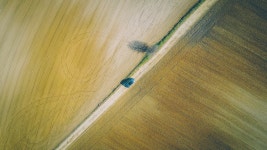 무료 이미지 : 목재, 햇빛, 조직, 잎, 웨이브, 바닥, 벽, 선, 녹색... 목재, 햇빛, 조직, 잎, 웨이브, 바닥, 벽, 선, 녹색, 반사, 색깔, 푸른... 