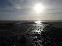 무료 이미지 : 바닷가, 바다, 연안, 모래, 록, 대양, 수평선, 구름, 하늘, 태양, 해돋이, 일몰, 햇빛, 아침, 육지, 웨이브, 새벽, 황혼, 저녁... 