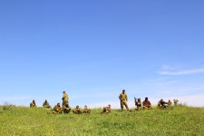 무료 이미지 : 경치, 황야, 목초지, 대초원, 모험, 목장, 농장, 평원, 고원, 원정 여행, 생태계, 스텝, 자연 환 경 5184x3456 -  - 14642... 