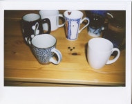 북극곰 사진 - 무료 이미지 & 무료 이미지 - PxHere