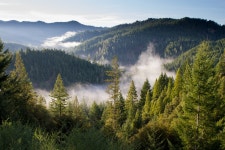 Free Images : landscape, tree, nature, wilderness, fog, mist, meadow, morning, lake, valley, mountain range, autumn, national... 