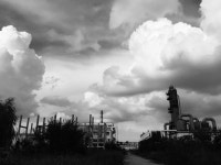 Free Images : landscape, tree, horizon, cloud, black and white, sky, skyline, daytime, evening, cumulus, metropolis, light and... 