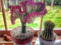 고창 사진 - 무료 이미지 & 무료 이미지 - PxHere