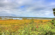 무료 이미지 : 경치, 나무, 수평선, 습지, 구름, 하늘, 들, 농장... 들, 농장, 목초지, 대초원, 언덕, 목장, 농업, 평원, 변소, 서식지, 생태계... 