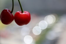 무료 이미지 : 과일, 꽃잎, 영수증, 식품, 빨간, 생기게 하다, 야채... 이미지 : 과일, 꽃잎, 영수증, 식품, 빨간, 생기게 하다, 야채... 