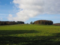 포렌 호프 세인트 요한 사진 - 무료 이미지 & 무료 이미지 - PxHere