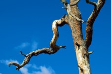 모 골림 사진 - 무료 이미지 & 무료 이미지 - PxHere