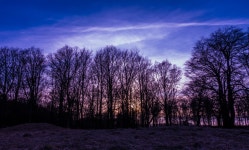 무료 이미지 : 경치, 나무, 자연, 숲, 분기, 눈, 겨울, 구름, 하늘, 해돋이, 일몰, 안개, 밤, 햇빛, 아침, 서리, 새벽, 분위기, 황혼, 저녁... 