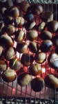 무료 이미지 : 식품, 생기게 하다, 캠핑, 숯, 밤나무, 군대의 밤 2340x4160 - - 1028488 - 무료 이미지 - PxHere 무료 이미지 : 식품... 