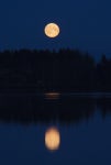Free Images : sea, ocean, horizon, cloud, sky, sun, sunrise, sunset, dawn, dusk, evening, moon, moonlight, lune, fullmoon... 