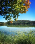 Free Images : landscape, tree, nature, grass, wilderness, hay, field, meadow, countryside, morning, leaf, flower, lake, summer... 