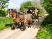 무료 이미지 : 농장, 카트, 꽃, 차량, 벨기에, 마차, 공중제비... 이미지 : 농장, 카트, 꽃, 차량, 벨기에, 마차, 공중제비, 보골, 농촌... 