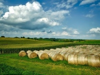 Bales Photos - Free Images & Free stock photos - PxHere