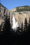 Free Images : canada, rockies, highland, tree, snow, mountain goat, plant, sheep, slope, mountain range, goat antelope... 