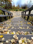 Skellefte Photos - Free Images & Free stock photos - PxHere