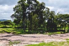 Savanna Photos - Free Images & Free stock photos - PxHere - 339