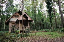 Free Images : tree, forest, wilderness, wood, house, building, hut, shack, jungle, cottage, dwelling, woodland, log cabin... 