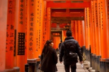 무료 이미지 : 아시아 사람, 빨간, 색깔, 수도사, 인테리어 디자인, 신전, 일본어, 신사, 도리, 성문 3456x2304 - - 884124 - 무료 이미지... 