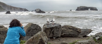 4985x2152 - - 310006 - 무료 이미지 - PxHere 무료 이미지 : 바닷가... ladigue99, 바람 파도 4985x2152 -  - 310006 - 무료 이미지 - PxHere