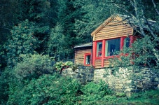 Free Images : tree, nature, forest, wilderness, house, flower, home, hut, shack, green, jungle, cottage, woodland, log cabin... 
