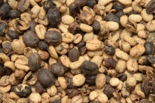 무료 이미지 : 자연, 커피, 식품, 생기게 하다, 야채, 흙, 카페인, 텍스처, 잔디 가족 4928x3264 - - 605024 - 무료 이미지 - PxHere 무료... 