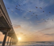 무료 이미지 : 바닷가, 바다, 연안, 대양, 해돋이, 일몰, 아침, 육지, 웨이브, 바람, 해조, 황혼, 저녁, 갈매기, 만, 물줄기 4272x2848... 