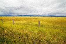 Free Images : landscape, horizon, marsh, sky, field, meadow, prairie, sunlight, morning, hill, wind, food, crop, pasture... 
