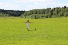 무료 이미지 : 들, 목초지, 대초원, 언덕, 목장, 농업, 평원, 고원, 서식지, 생태계, 스텝, 농촌 지역, 논, 자연 환 경, 잔디 가족 5184x3456... 