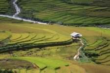 무료 이미지 : 경치, 들, 농장, 목초지, 대초원, 언덕, 골짜기, 목장, 흙, 농업, 고지, 평원, 테라스, 황무지, 농원, 고원, 생태계, 스텝... 