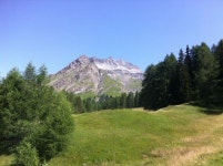 뿌리 끝 사진 - 무료 이미지 & 무료 이미지 - PxHere