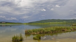 라군, 저수지, 물줄기, 서식지, 강어귀, 농촌 지역, 자연 환 경... 라군, 저수지, 물줄기, 서식지, 강어귀, 농촌 지역, 자연 환 ​​경... 