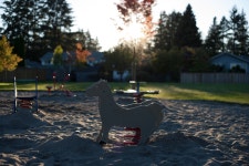 무료 이미지 : 일몰, 밤, 햇빛, 아침, 저녁, 반사, 차량, 말, 시즌, 운동장, 스크린 샷 3600x2400 - - 281280 - 무료 이미지 - PxHere 무료... 