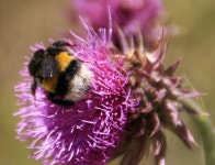 카르도 사진 - 무료 이미지 & 무료 이미지 - PxHere