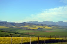 무료 이미지 : 경치, 자연, 잔디, 수평선, 구름, 하늘, 들, 목초지, 대초원, 아침, 언덕, 골짜기, 산맥, 목장, 농업, 평원, 고원, 생태계... 