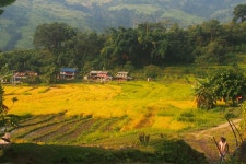 Free Images : landscape, farm, meadow, hill, valley, mountain range, village, jungle, pasture, agriculture, highland, plain... 