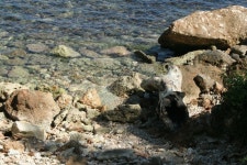 Free Images : rock, wilderness, wildlife, fauna, material, geology, boulder 5184x3456 - - 164876 - Free stock photos - PxHere... 
