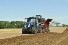 Sugar cane Photos - Free Images & Free stock photos - PxHere