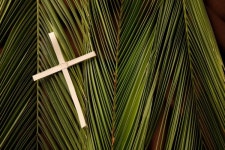 Palm Sunday 2026 in the United States