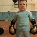 Baby Boxer GIFs | Tenor