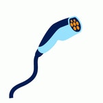 Vw Vwfs Sticker - Vw Vwfs Volkswagen - Discover & Share GIFs