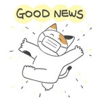 Animal Kitty Sticker - Animal Kitty Cat - Discover & Share GIFs