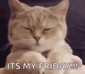 Its My Friday GIFs | Tenor