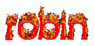 Robin A0023 Sticker - Robin A0023 - Discover & Share GIFs