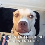 Oh No No No GIFs | Tenor