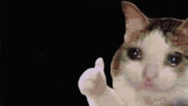 Sus GIF - Sus - Discover & Share GIFs