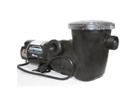 Waterway Plastics PSP2100-3R 1 HP Supreme Horizontal Discharge 48-Frame Above Ground Pool Pump with 3 ft. Twist-Lock - Newegg.com