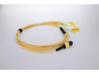3m (10ft) MTP Female to 4 LC UPC Duplex 8 Fibers OS2 9/125 Single Mode Breakout Cable, Type B, Elite, Plenum (OFNP), Yellow... 