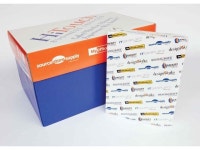 HiTouch Report Multipurpose Copy Paper 24-lb. 8-1/2 x 11 White 5000/Carton - Newegg.com HiTouch Report Multipurpose Copy Paper 24... 