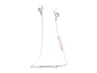 Jaybird FREEDOM 2 In-Ear Wireless Bluetooth Sport Headphones With SpeedFit - Newegg.com